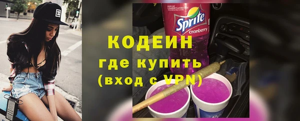 хмурый Сосновый Бор